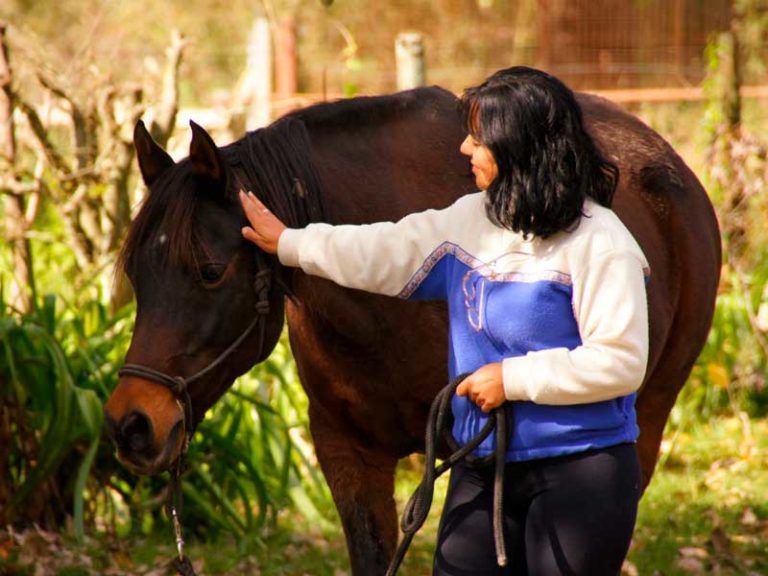 La Manada Mansa Coaching con Caballos