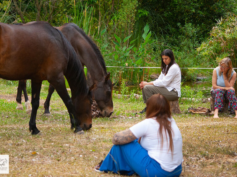 Talleres y sesiones de coaching con caballos