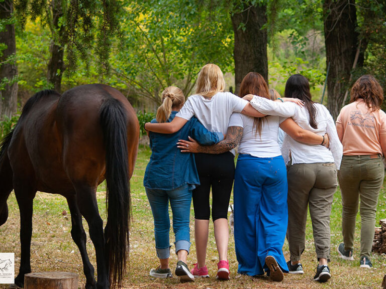 Talleres y sesiones de coaching con caballos