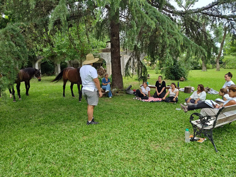 formaciones en coaching con caballos