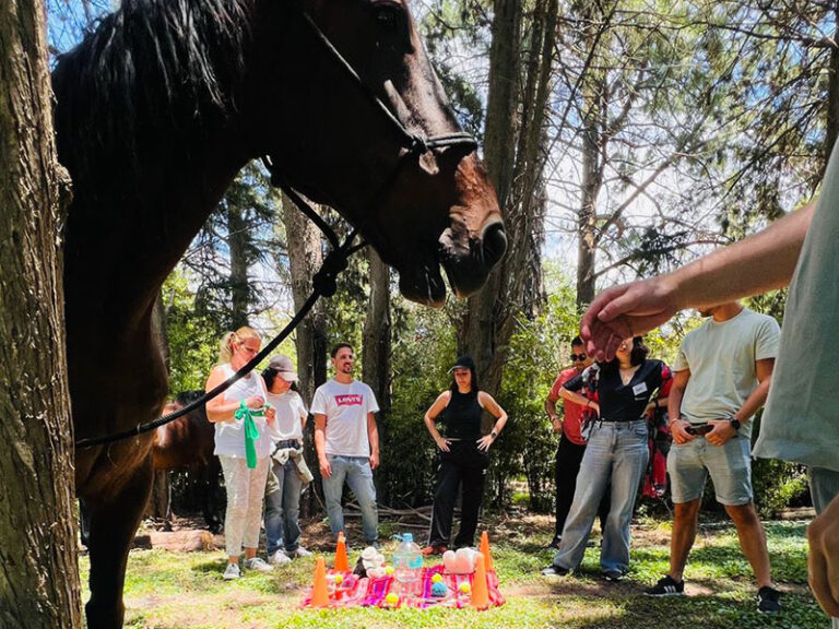 Coaching para equipos