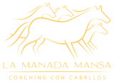 La-Manada-Mansa-Coaching-con-caballos-amarillo