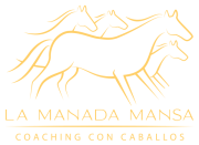 La-Manada-Mansa-Coaching-con-caballos-amarillo