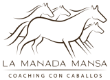 La-Manada-Mansa-Coaching-con-Caballos